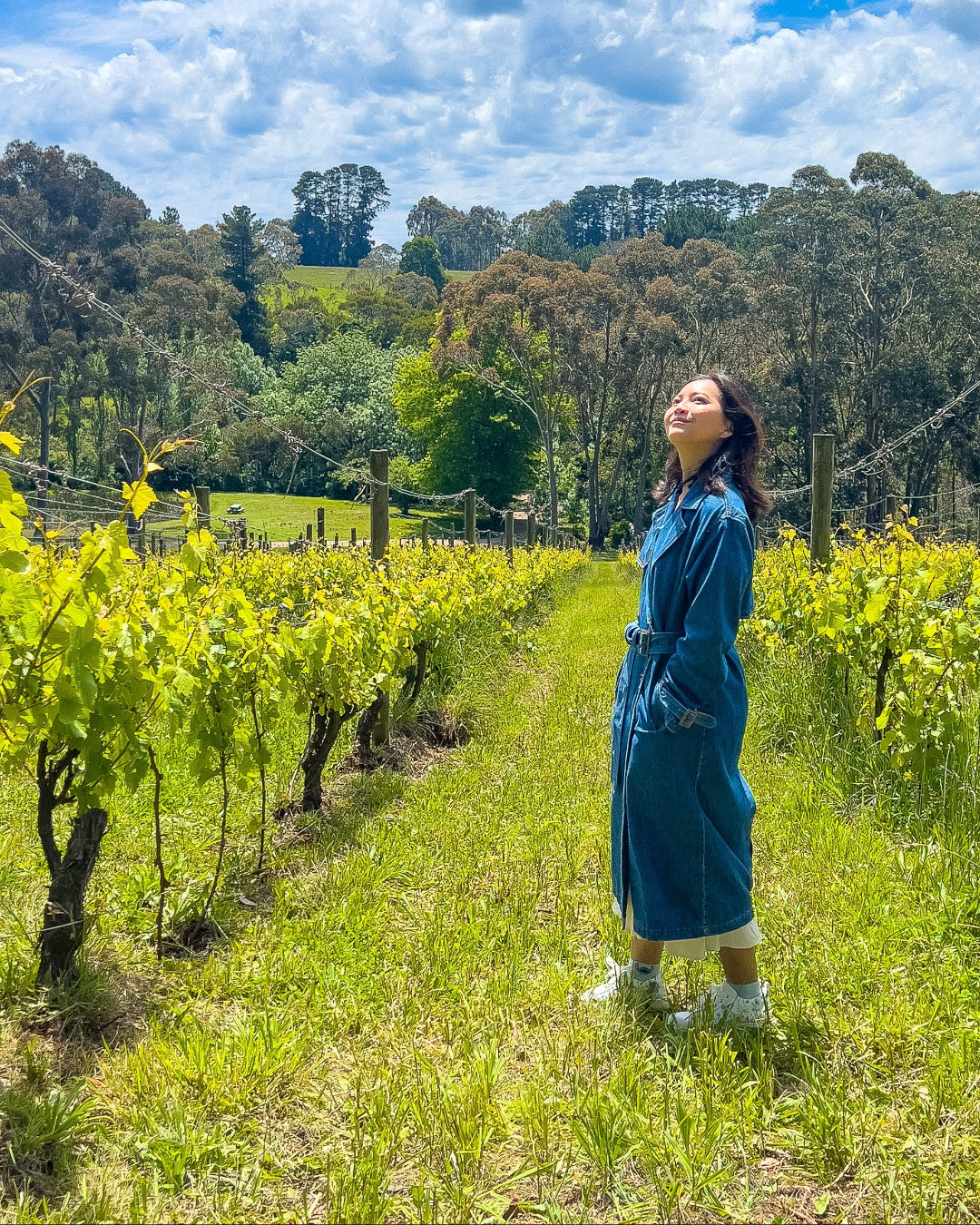 Woman in a blue dress standing in a vineyard with a scenic background
