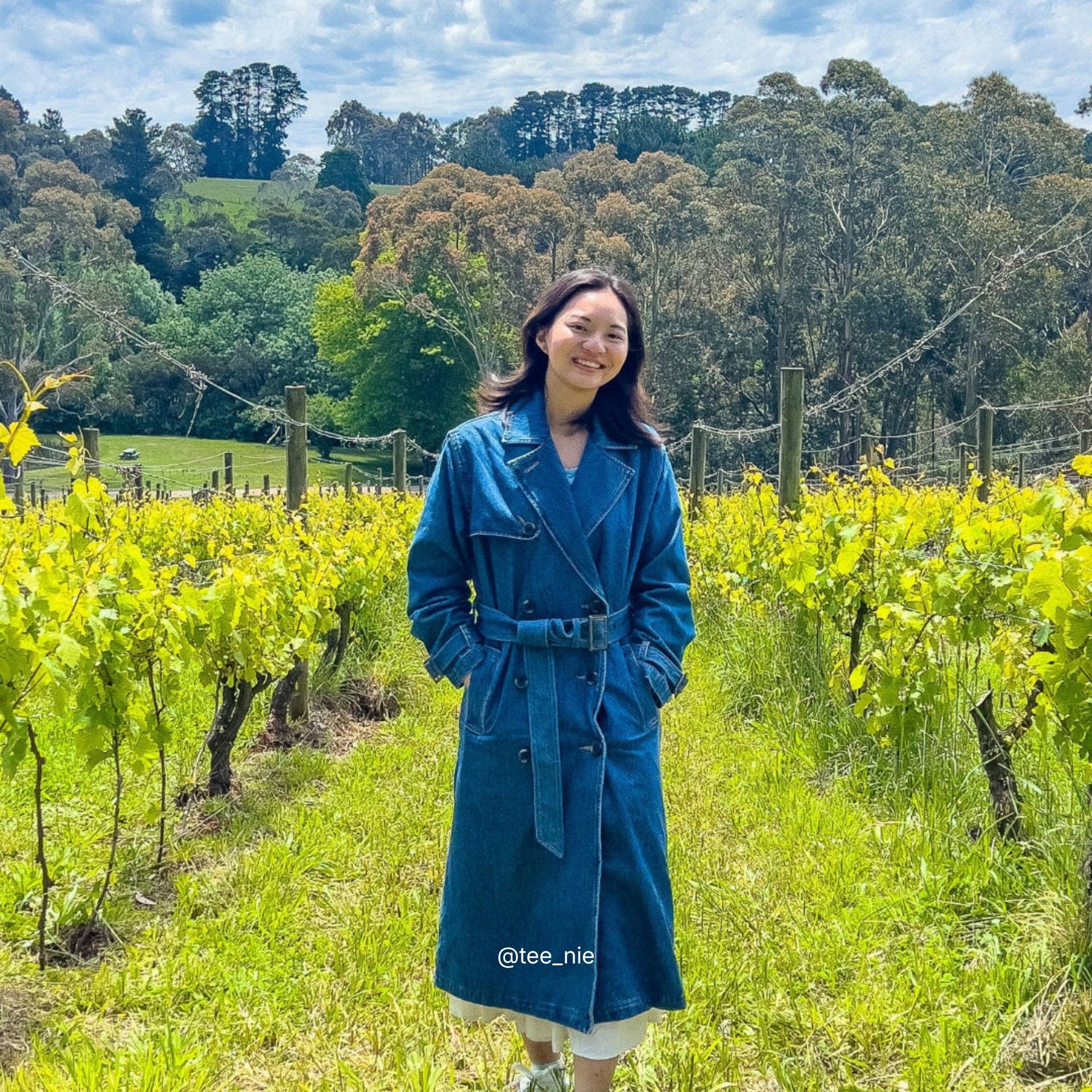 Person in a blue trench coat standing in a vineyard with a scenic background
