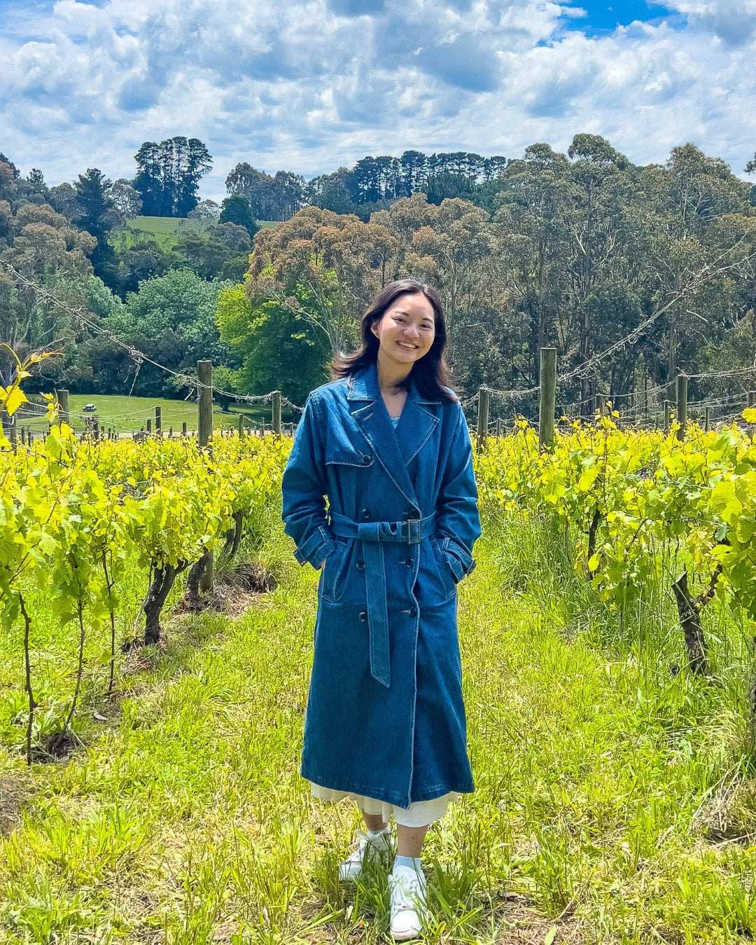 Person in a blue trench coat standing in a vineyard with a scenic background