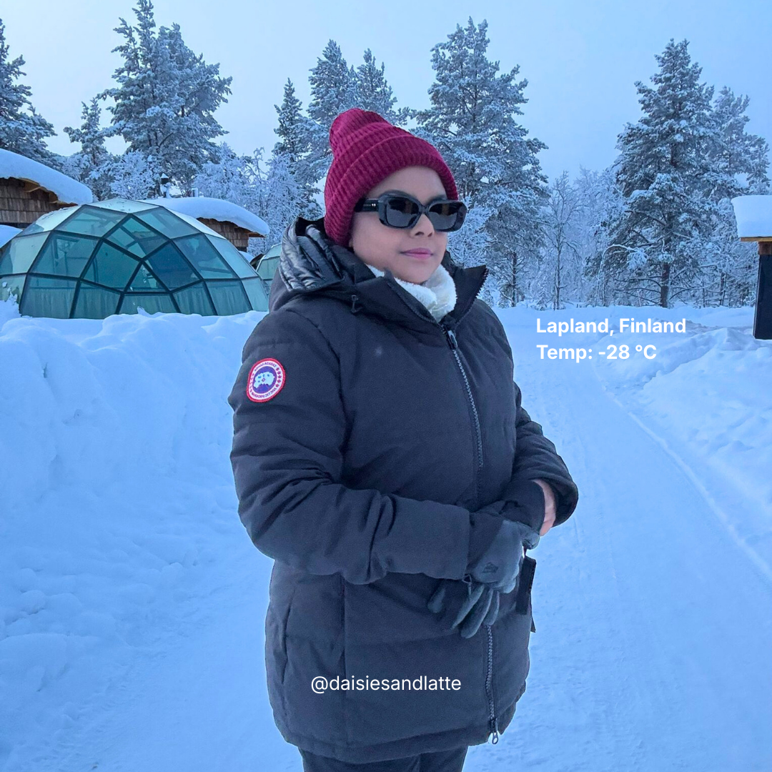 Chelsea Hooded Down Parka in Noir